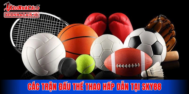 Các trận đấu thể thao hấp dẫn tại SKY88