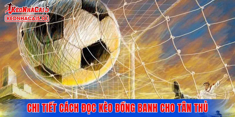 Chi tiết cách đọc kèo đồng banh cho tân thủ