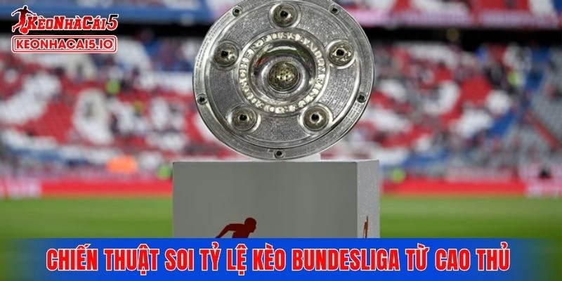 Chiến thuật soi tỷ lệ kèo Bundesliga từ cao thủ