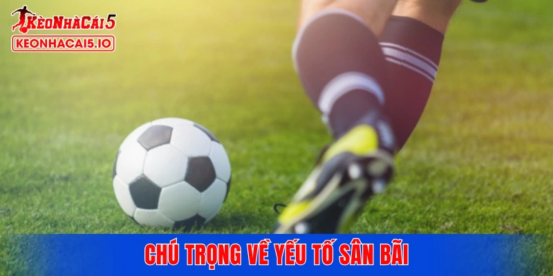 Chú trọng về yếu tố sân bãi