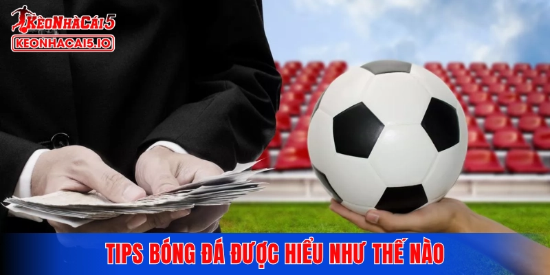 Tips bóng đá được hiểu như thế nào và vì sao chúng có giá trị